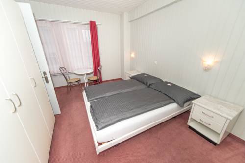 Imagen de la habitación del Hotel Rotes Haus. Foto 9