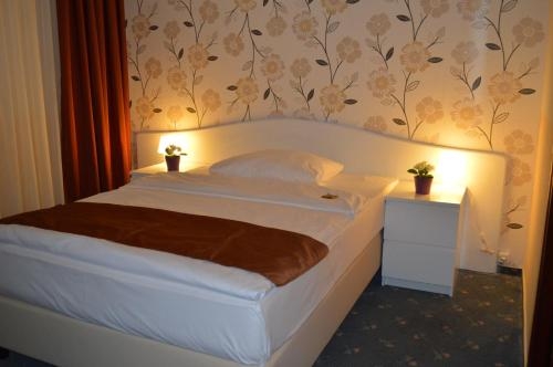 Imagen general del Hotel Royal Hanau. Foto 2