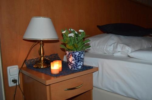 Imagen general del Hotel Royal Hanau. Foto 6