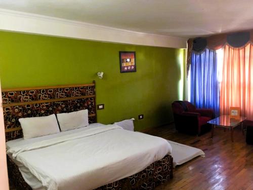 Imagen general del Hotel Royal Kaushal Near Garden. Foto 15