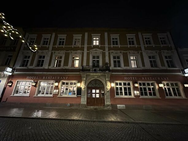 Imagen general del Hotel Sachsenhof Riesa. Foto 2