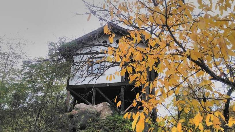 Imagen de la habitación del Hotel Sadibey Ciftligi - Special Class. Foto 10