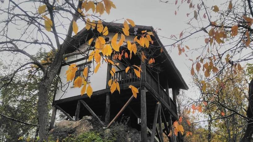 Imagen de la habitación del Hotel Sadibey Ciftligi - Special Class. Foto 19