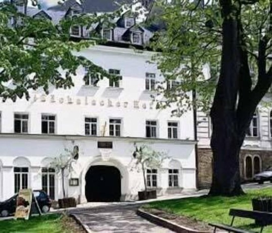 Imagen general del Hotel Saechsischer Hof. Foto 1
