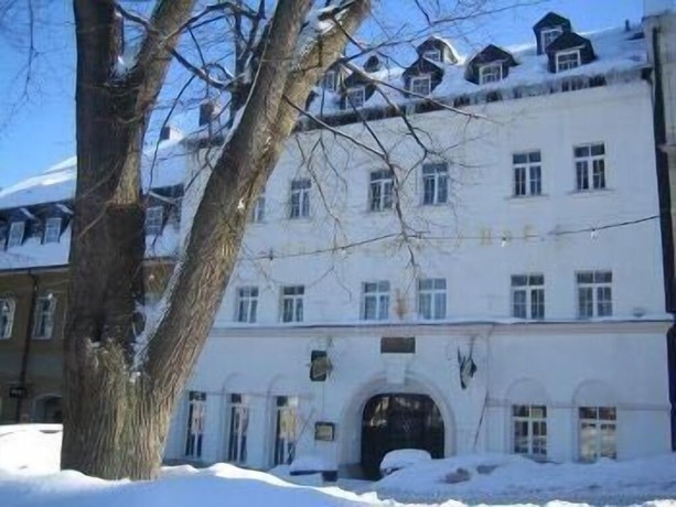 Imagen general del Hotel Saechsischer Hof. Foto 3