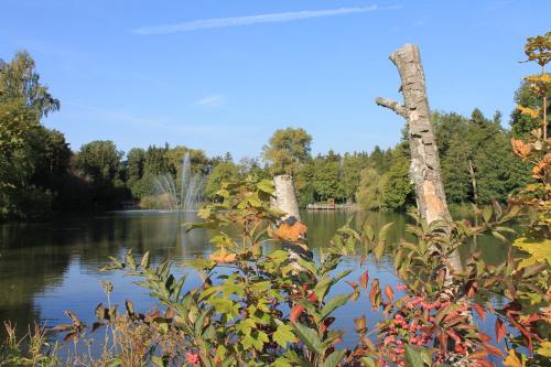 Imagen general del Hotel Salinensee. Foto 3