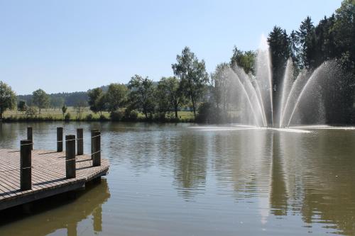 Imagen general del Hotel Salinensee. Foto 4