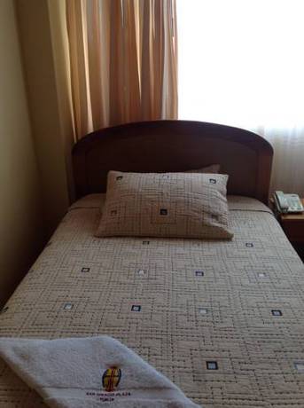 Imagen de la habitación del Hotel San Ignacio Plaza. Foto 2