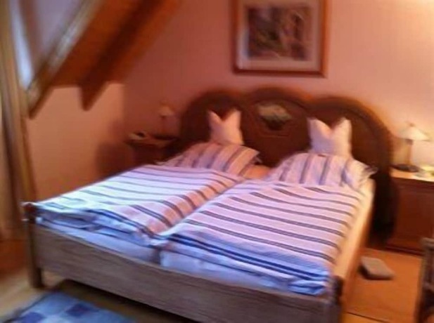 Imagen de la habitación del Hotel Sarbacher. Foto 10