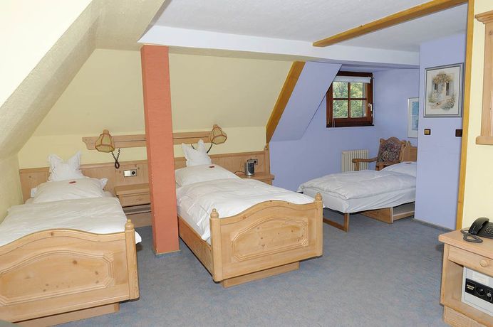 Imagen de la habitación del Hotel Sarbacher. Foto 16