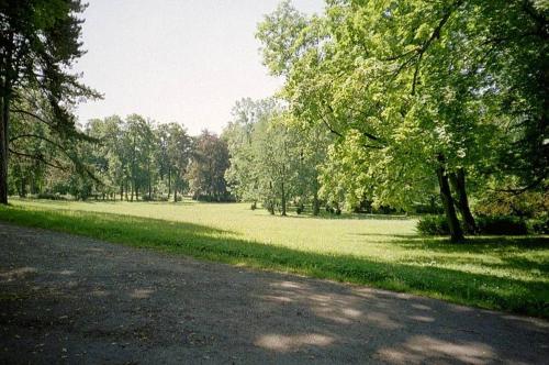 Imagen general del Hotel S&auml;chsischer Hof, Meiningen. Foto 8