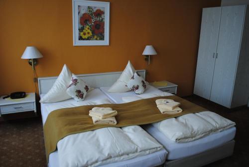 Imagen general del Hotel S&auml;chsischer Hof, Pirna. Foto 3