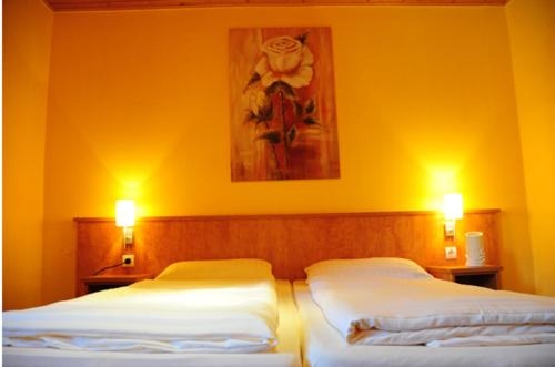 Imagen general del Hotel Sch&auml;ferhof. Foto 2