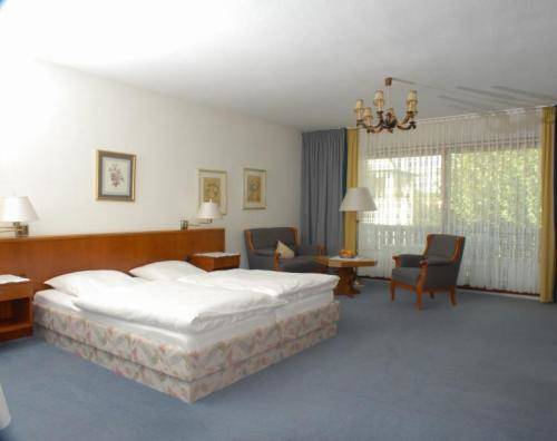 Imagen de la habitación del Hotel Scherf. Foto 13