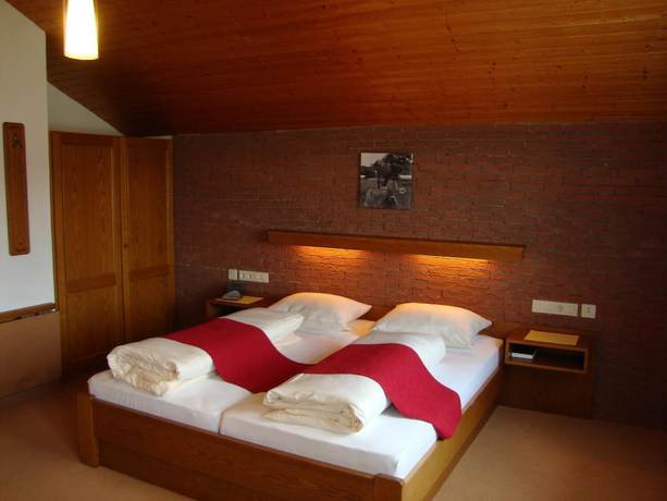 Imagen de la habitación del Hotel Schindelberg. Foto 15