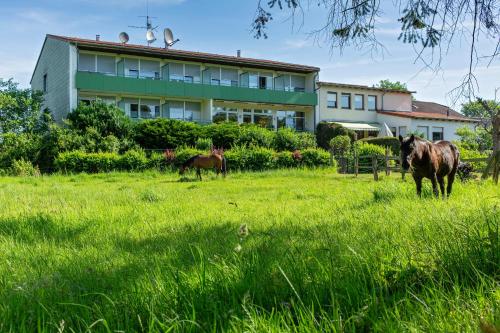 Imagen general del Hotel Schleifm&uuml;hle. Foto 5