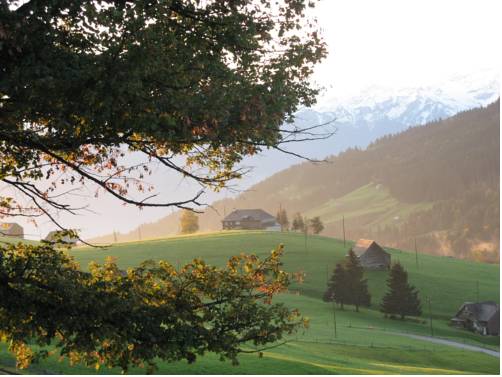 Imagen de la habitación del Hotel Schönenboden. Foto 13