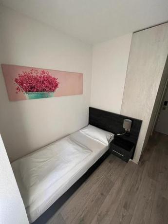 Imagen general del Hotel Schwanen, Waldshut-Tiengen. Foto 14