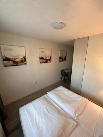 Imagen general del Hotel Schwanen, Waldshut-Tiengen. Foto 15