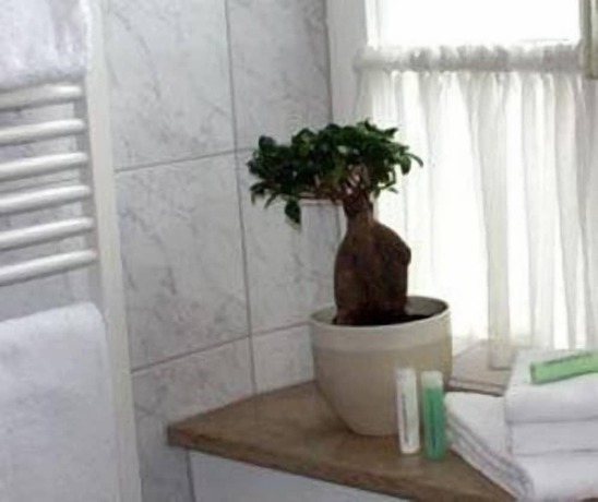 Imagen de la habitación del Hotel Schwarzacher Hof. Foto 15