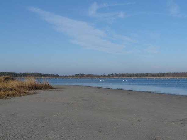 Imagen de los exteriores del Hotel Seeblick, Stralsund. Foto 19