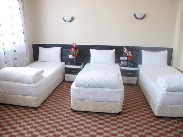 Imagen de la habitación del Hotel Seker. Foto 7