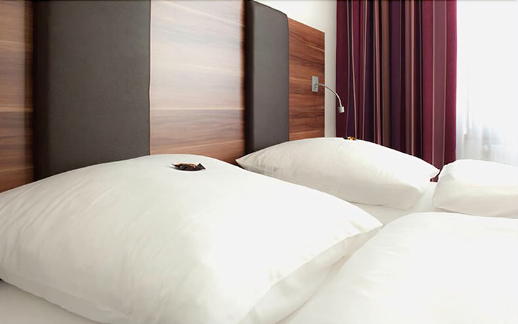 Imagen de la habitación del Hotel Sentio. Foto 10