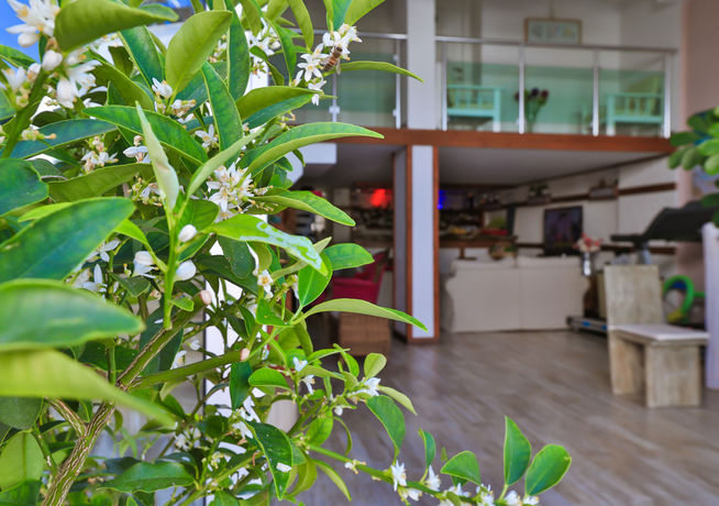 Imagen del bar/restaurante del Hotel Sonne - Adults Only. Foto 2