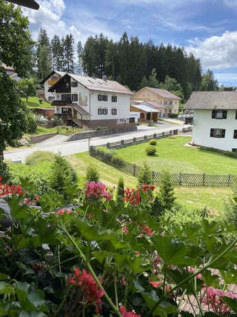 Imagen general del Hotel Sonnenhof, Zwiesel. Foto 4