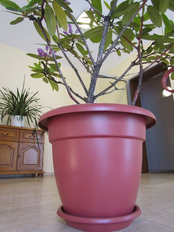 Imagen de los interiores del Hotel Stadt Mainz. Foto 20