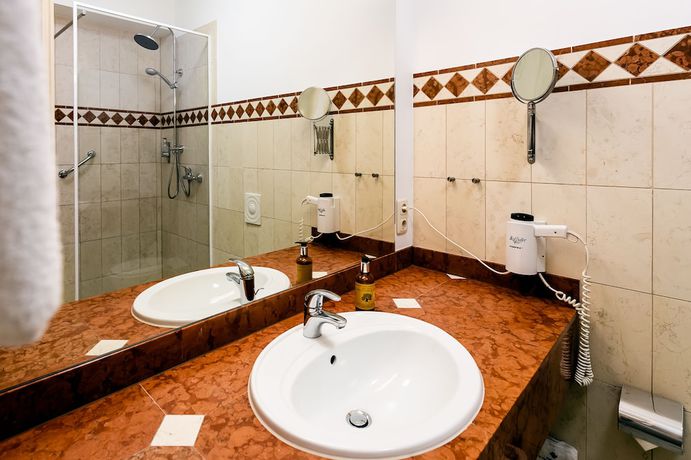 Imagen de la habitación del Hotel Steiger Sebnitzer Hof- Adults Only. Foto 7