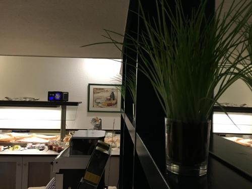 Imagen general del Hotel Steinkrug. Foto 4