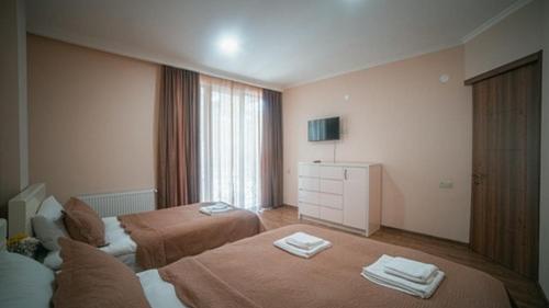 Imagen de la habitación del Hotel Surami. Foto 15