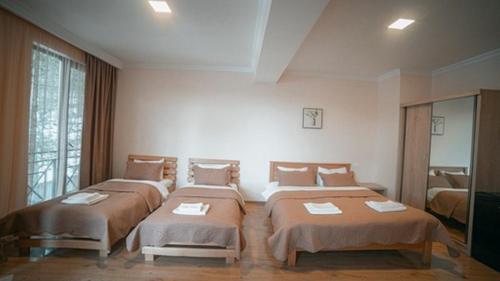 Imagen de la habitación del Hotel Surami. Foto 16