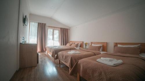 Imagen de la habitación del Hotel Surami. Foto 18