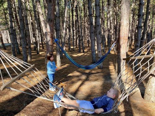 Imagen general del Hotel Surami. Foto 2