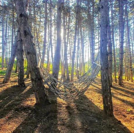 Imagen general del Hotel Surami. Foto 3