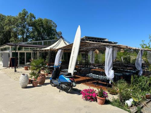 Imagen general del Hotel Surf Primorsko. Foto 14