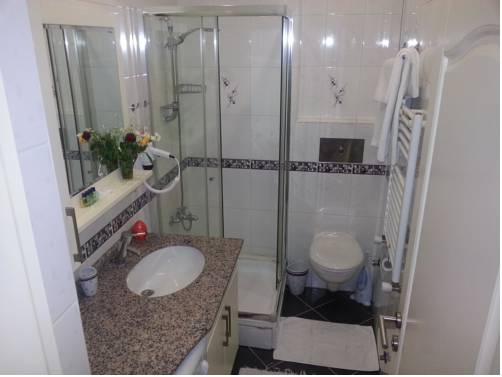 Imagen de la habitación del Hotel Taksim Home. Foto 48