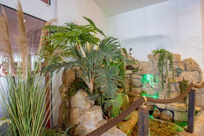 Imagen general del Hotel Tanne. Foto 9