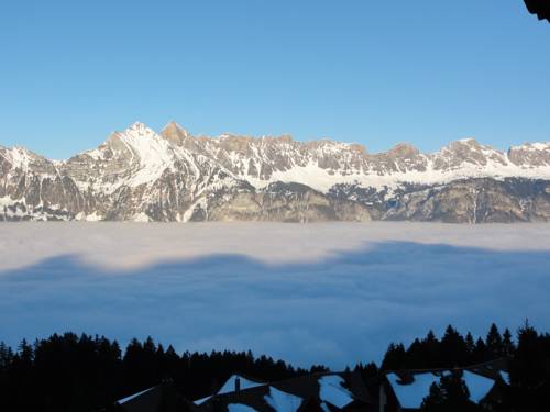 Imagen de la habitación del Hotel Tannenboden. Foto 14