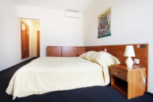 Imagen de la habitación del Hotel Termy Pałacowe. Foto 6