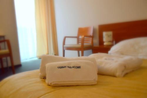 Imagen general del Hotel Termy Pałacowe. Foto 1
