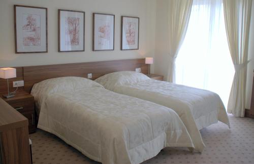 Imagen de la habitación del Hotel Termy Pałacowe. Foto 10