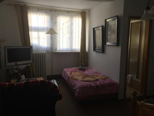 Imagen general del Hotel Teutonia. Foto 4
