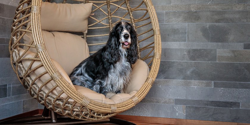 Imagen de los interiores del Hotel The Cube. Foto 20