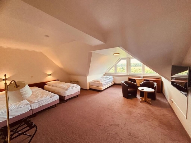 Imagen de la habitación del Hotel Thesdorfer Hof. Foto 14