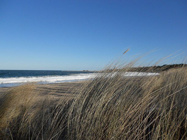 Imagen general del Hotel Timmendorfer Strand. Foto 3