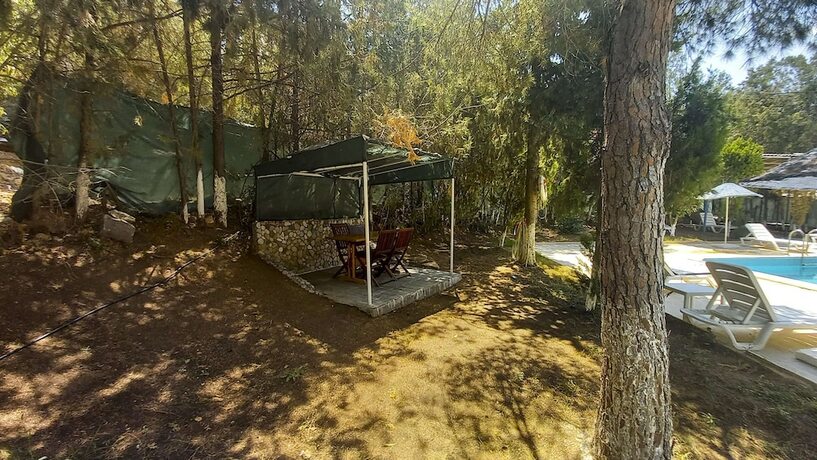 Imagen general del Hotel Tropicana. Foto 14