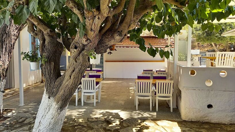 Imagen general del Hotel Tropicana. Foto 16